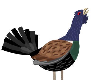 �ɼ��Ƿ���