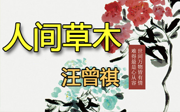 ����������ɢ�ļ���һ��һľ��