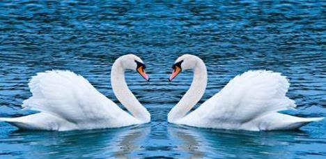 ������ѻ����ë