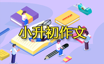 С����˯ǰ����