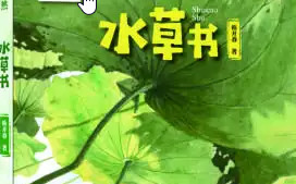 ����������Ȼ����̬�������