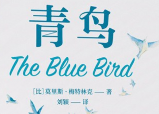 ���񣨶�ͯ��ѧ������