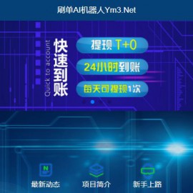 AI机器人自动刷广告流量 区块链投资源码-游戏挖矿分红系统运营版+免签码支付+可打包app